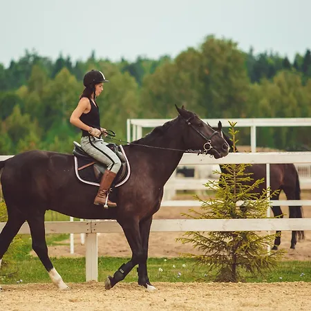 Flatbook - Baltic Sun -a- Z Basenem * シュトゥトボ