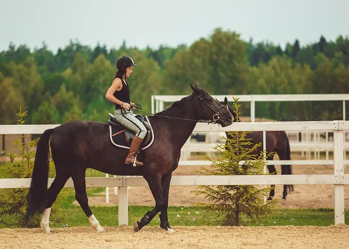 Flatbook - Baltic Sun -a- Z Basenem * Sztutowo